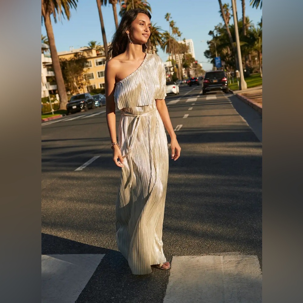 Rachel Zoe X Express Metallic Gown